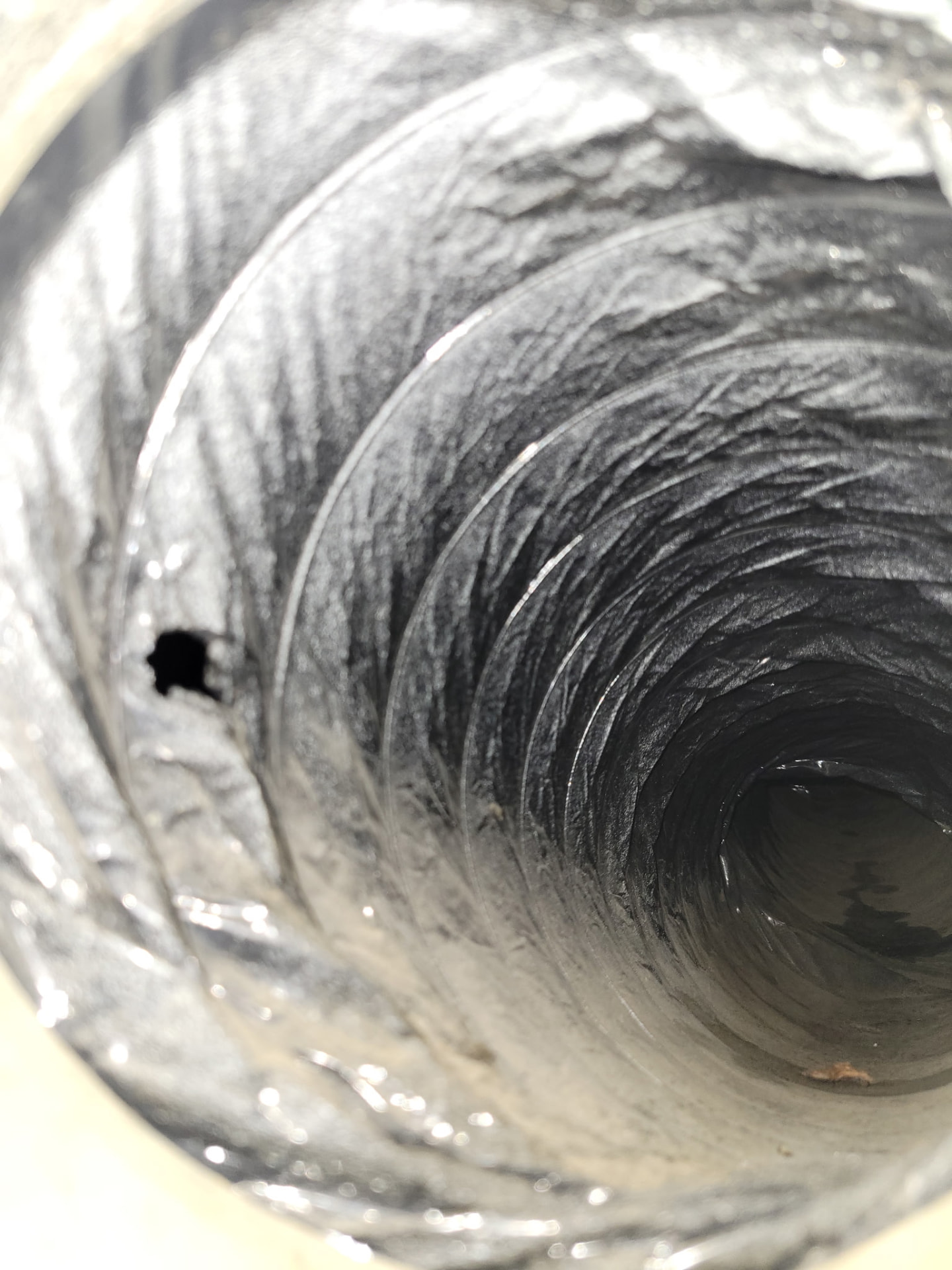 Interior ductwork documented during service.