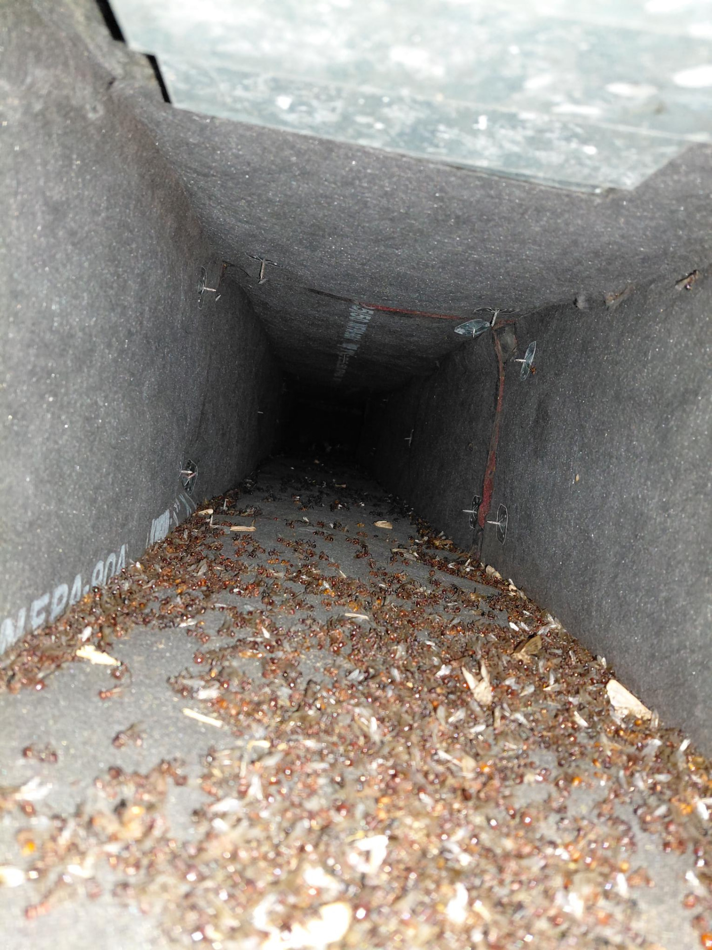 Debris visible inside ductwork before cleaning.