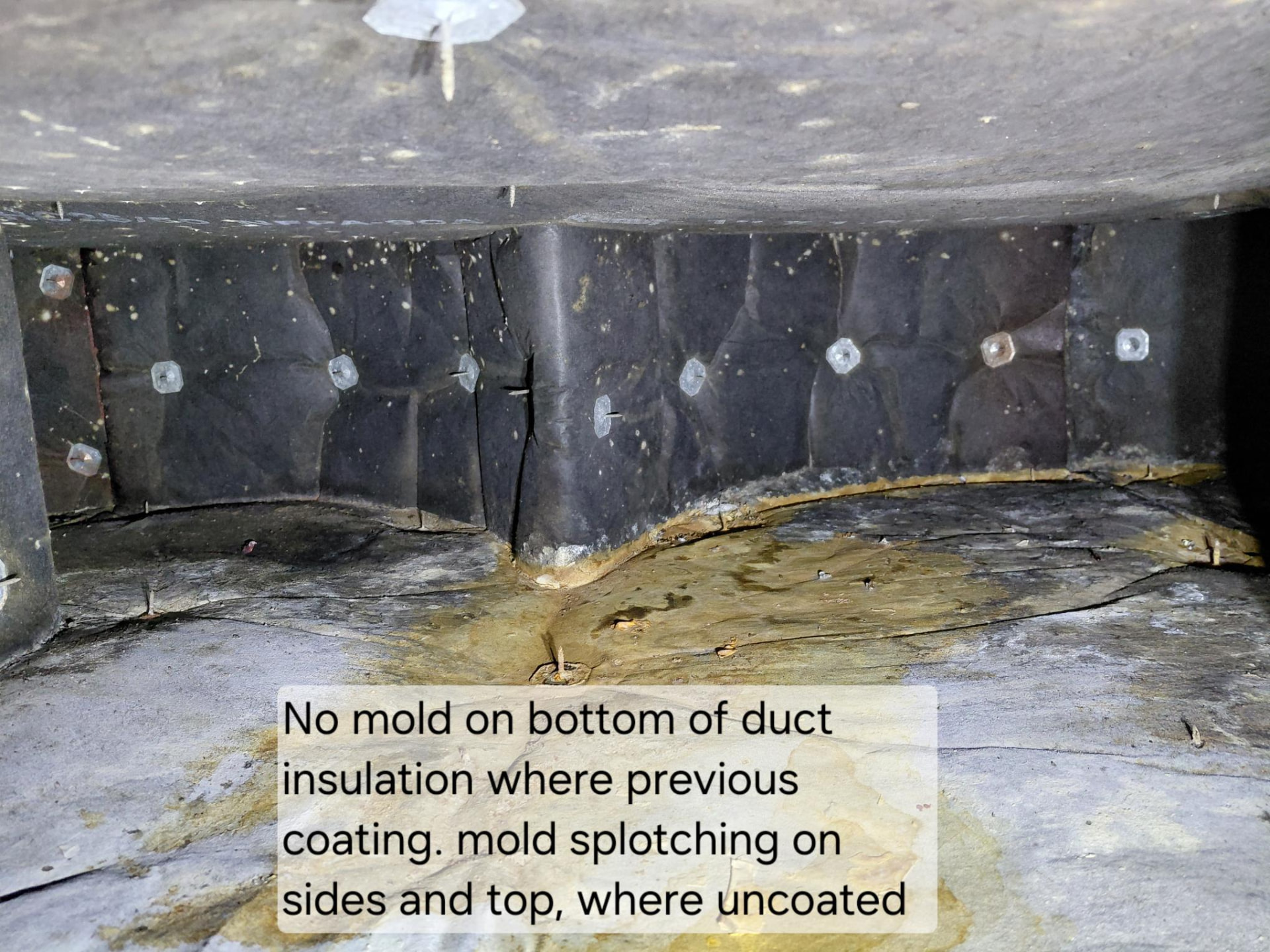 Interior duct conditions documented during inspection.