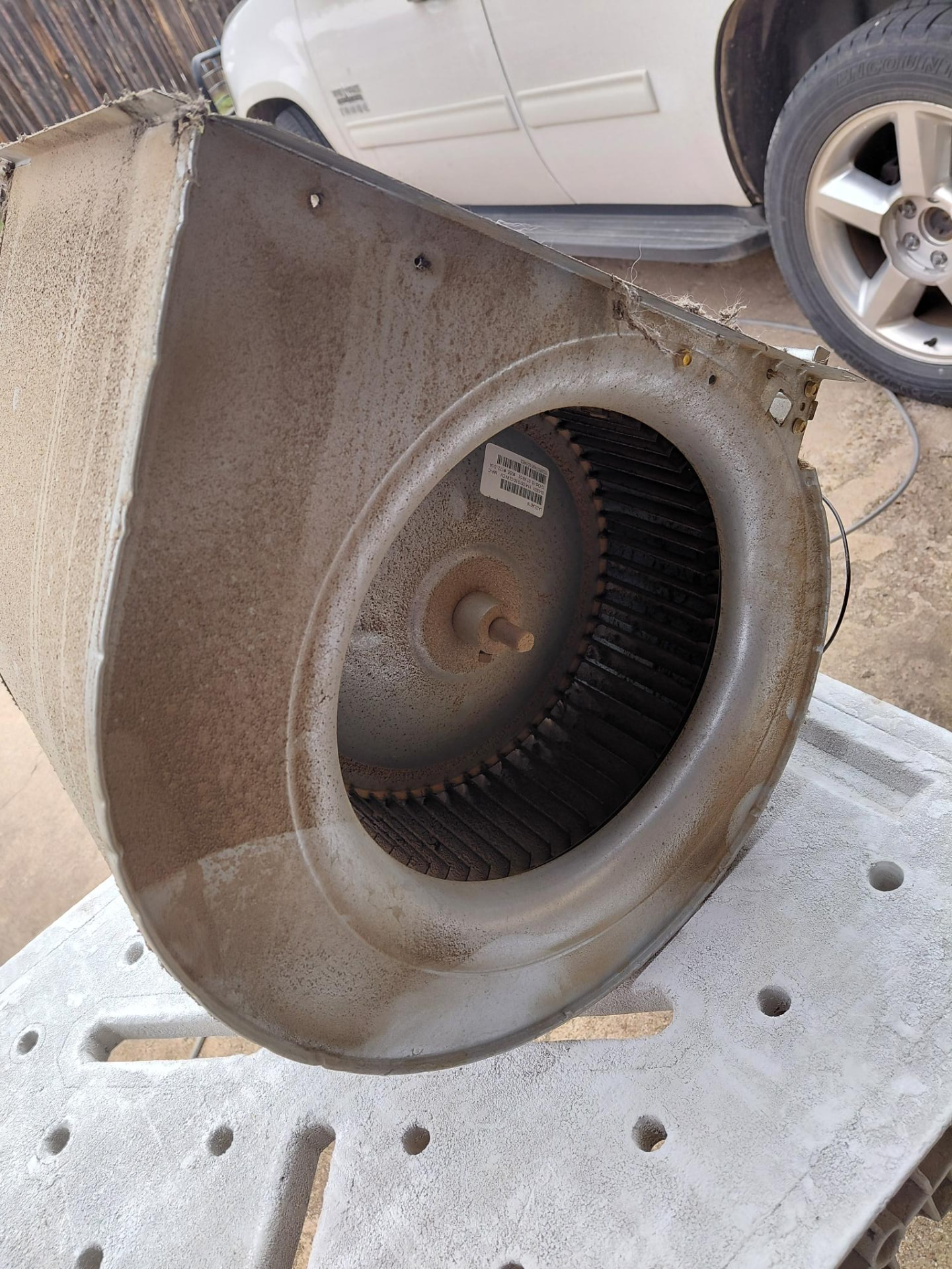 Before cleaning — Blower Assembly Cleaning