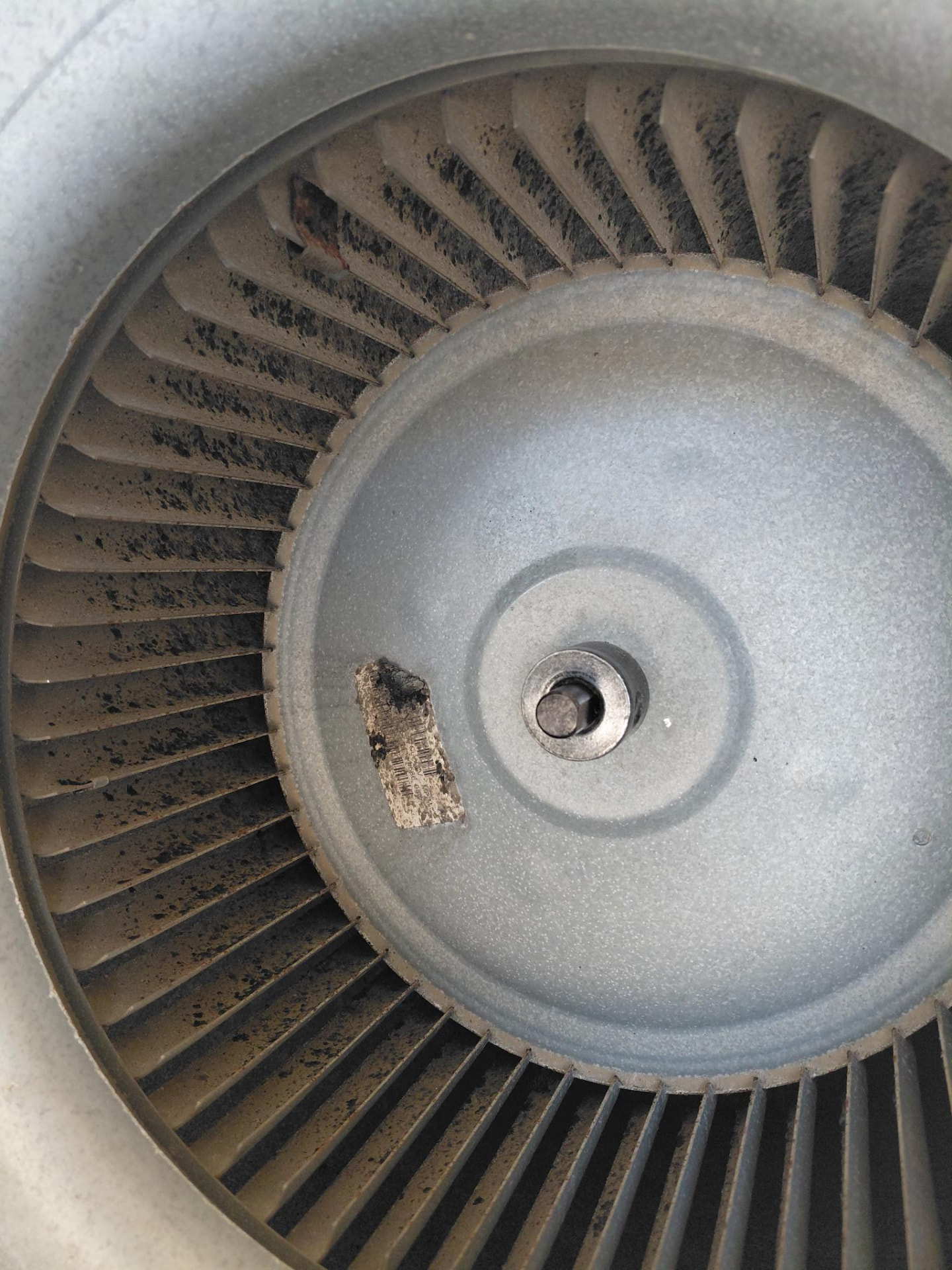 Blower wheel with visible buildup.