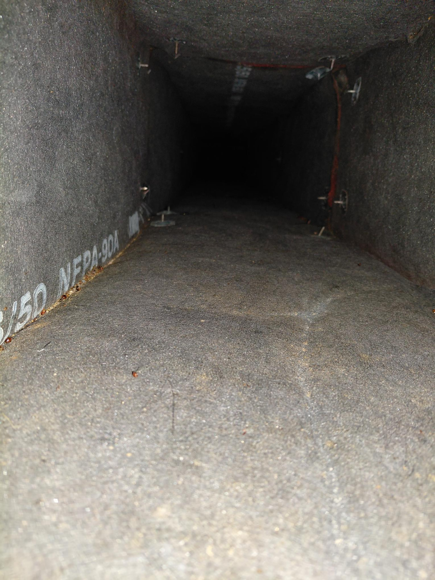 Interior duct surface documented during service.